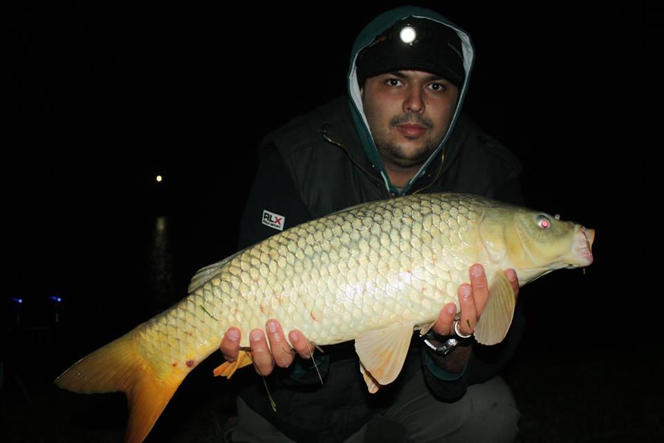 Moara Vlasiei 2 12 - 13 oct. - 138801610151891964362348409359835n.jpg